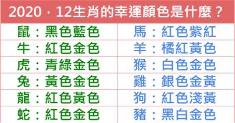 屬龍 幸運色|百工百業》2024龍年行大運 12生肖流年數字、幸運色報你知